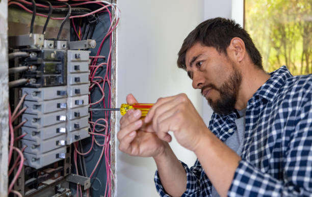 Best Electric Panel Repair  in Hackberry, TX